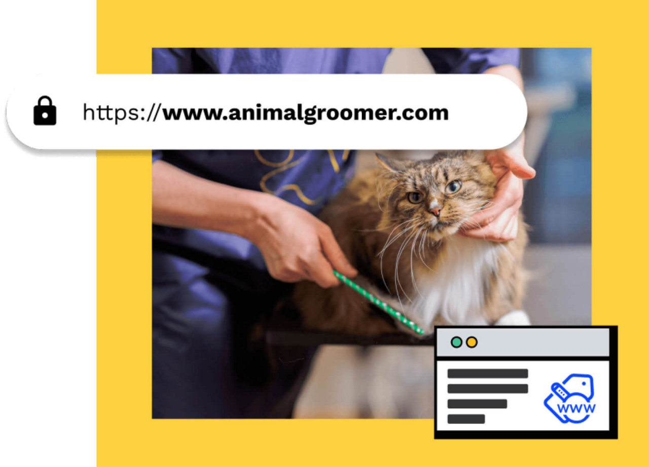 domain url bar with groomer picture. website graphic with www imagery