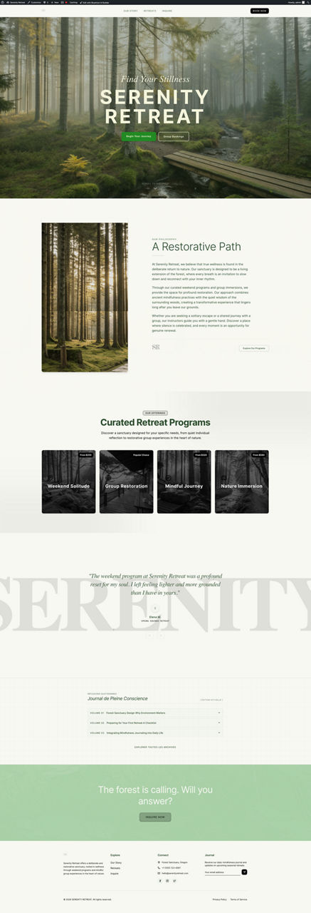 Professional Services website preview