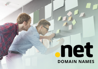 .net domain name