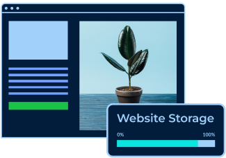 website