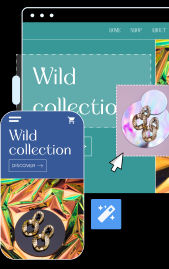 Bluehost Wondersuite