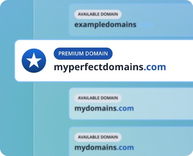 image showing the selection of the perfected domain name