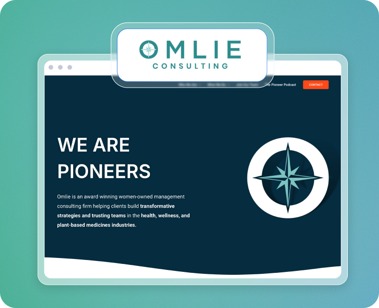 professional website service