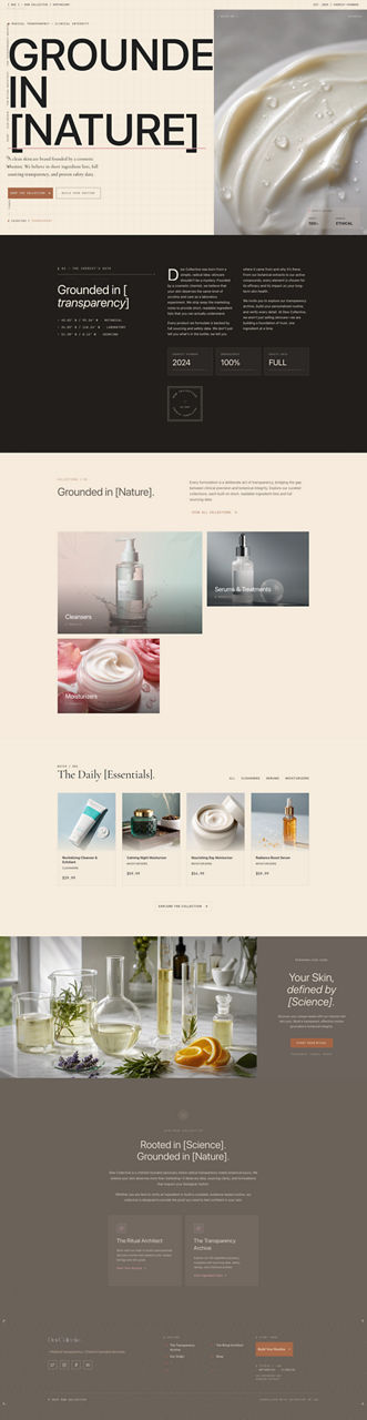 Professional Services website preview