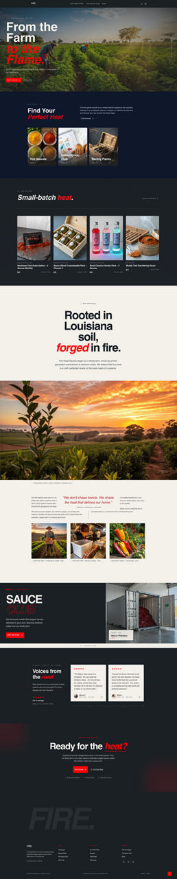 Professional Services website preview