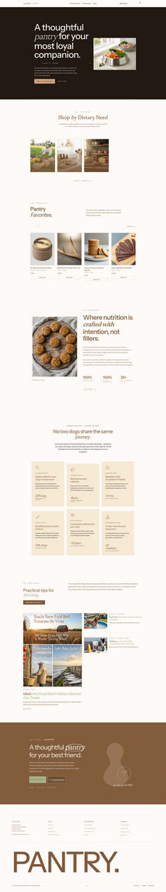 Professional Services website preview