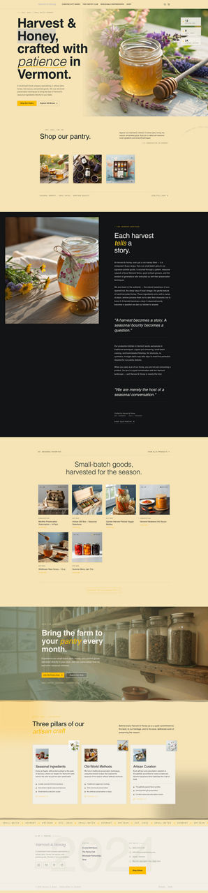 Professional Services website preview