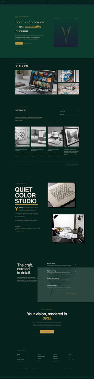 Professional Services website preview
