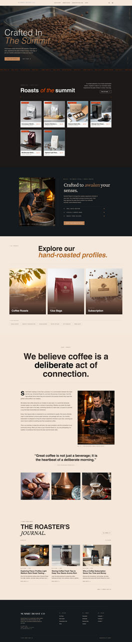 Professional Services website preview