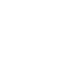wordpress auto updates