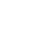 wordpress auto updates