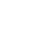 bag icon