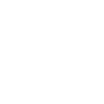 validation icon