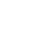 wordpress auto updates