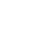 wordpress auto updates