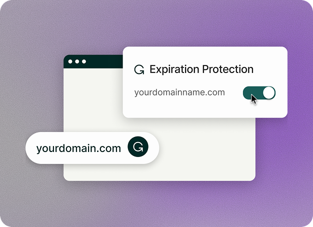 domain expiration protection