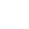 flag icon