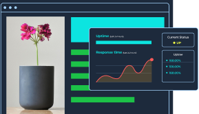 Best Uptime SLA Guarantee
