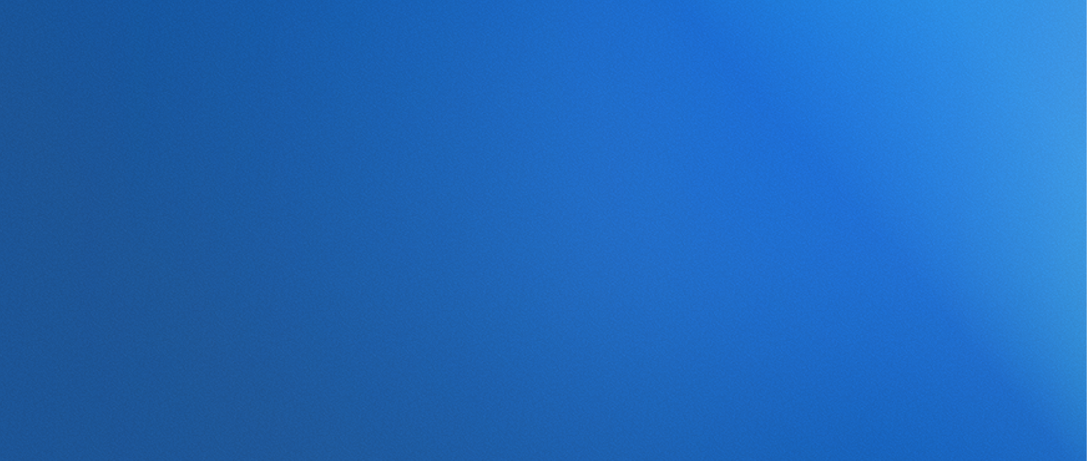 Professional Website Design