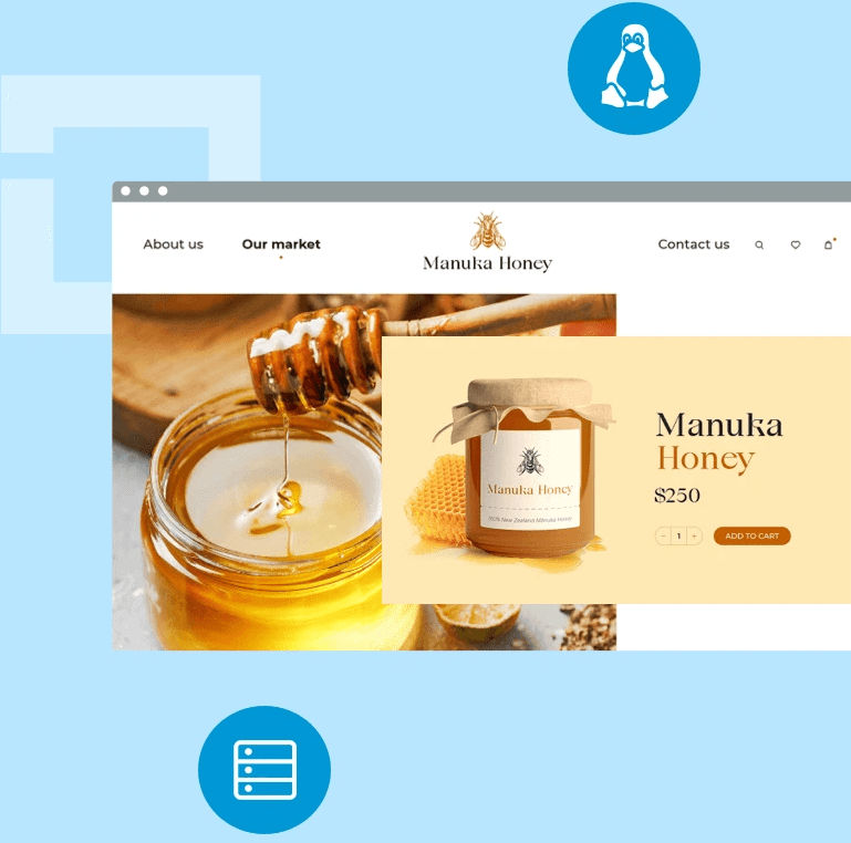 Web Hosting