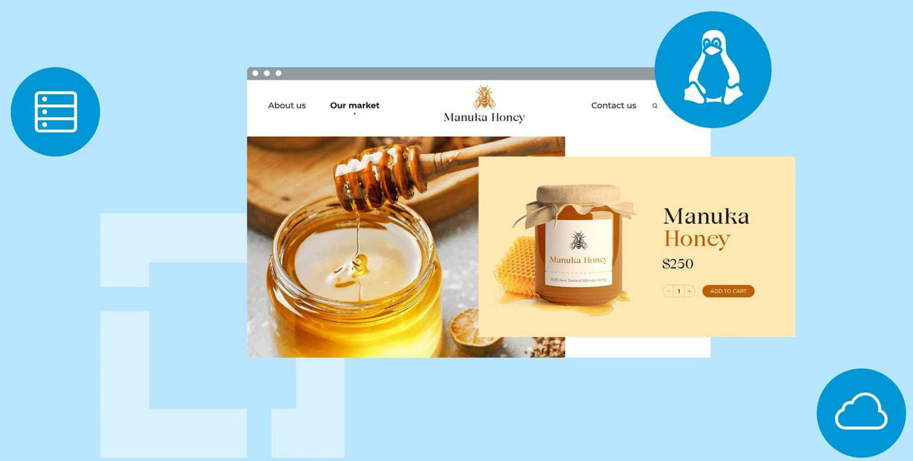 Web Hosting
