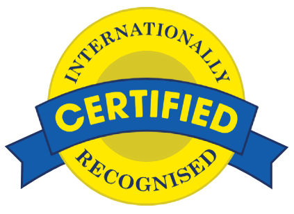 international_icon
