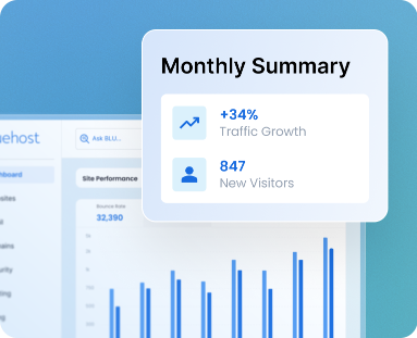 website traffic monthly summary