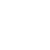 secure icon