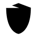 privacy icon