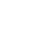 establish icon