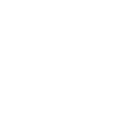 wordpress auto updates