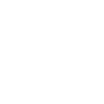 wordpress auto updates