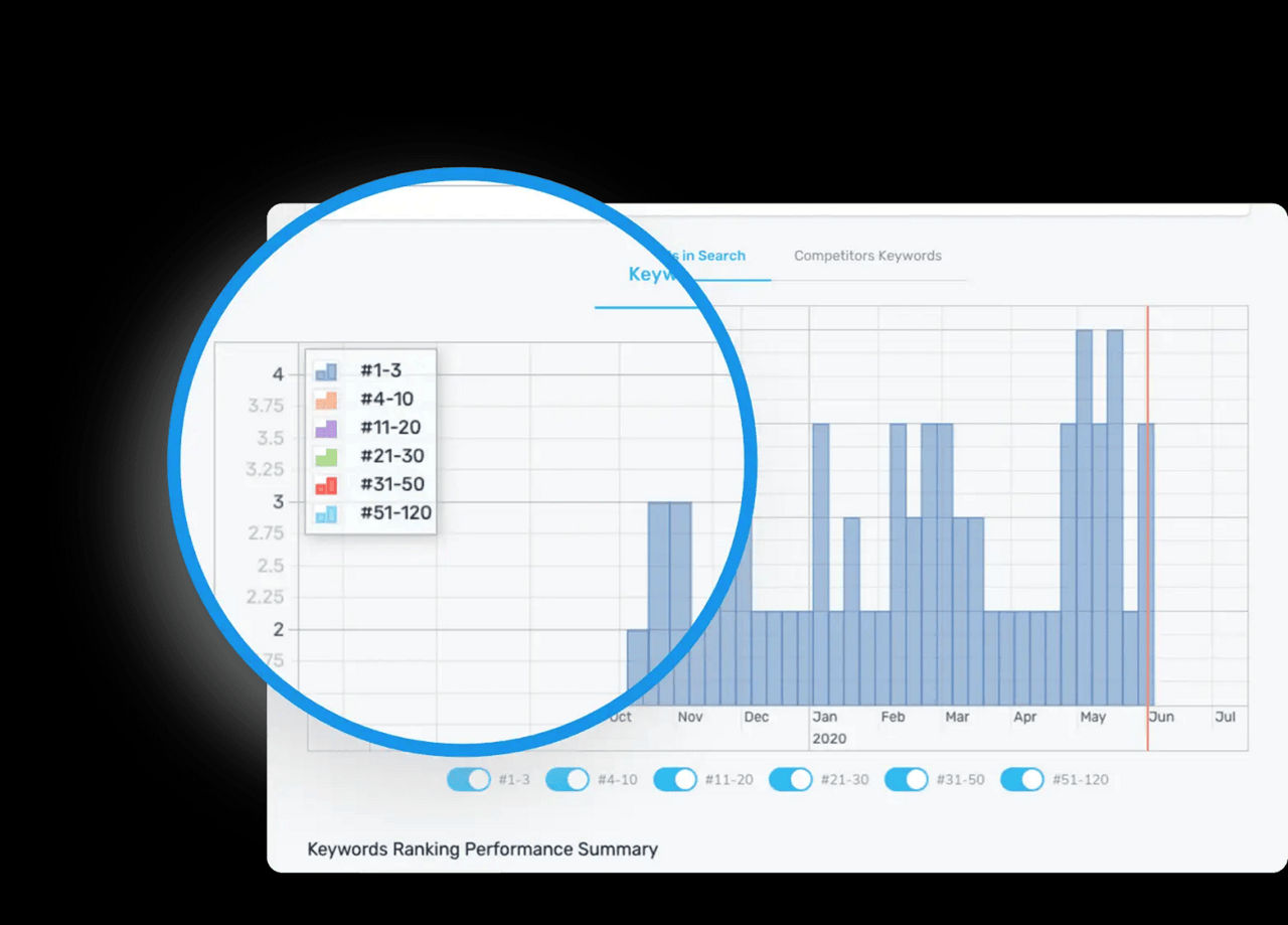 Detailed SEO reports