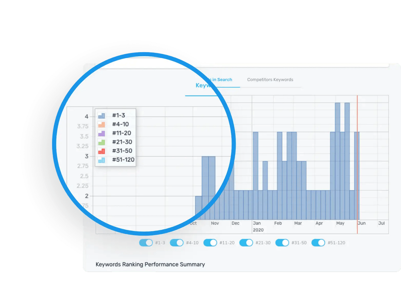 Detailed SEO reports