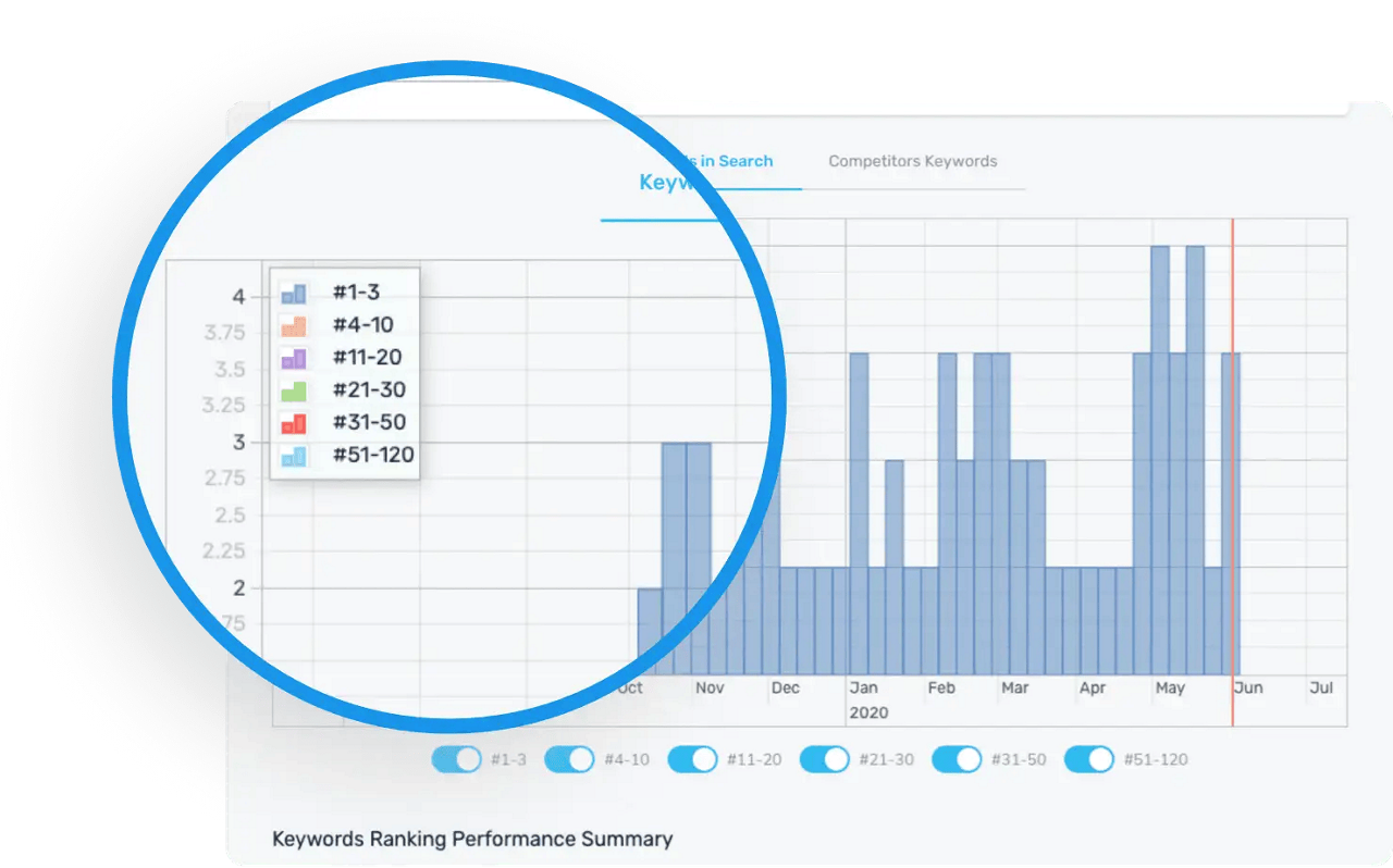 Quick and Automated Reporting