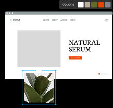 web design
