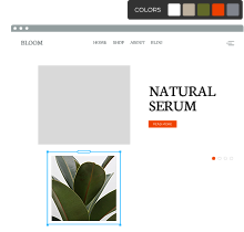 web design