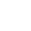 zigzag icon